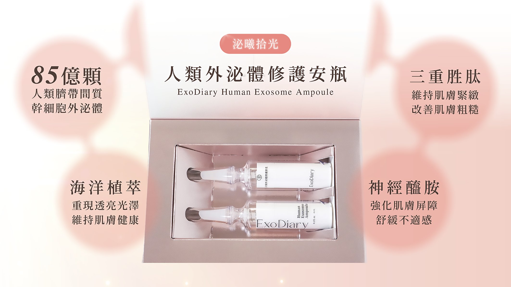 安瓶有字-04.png